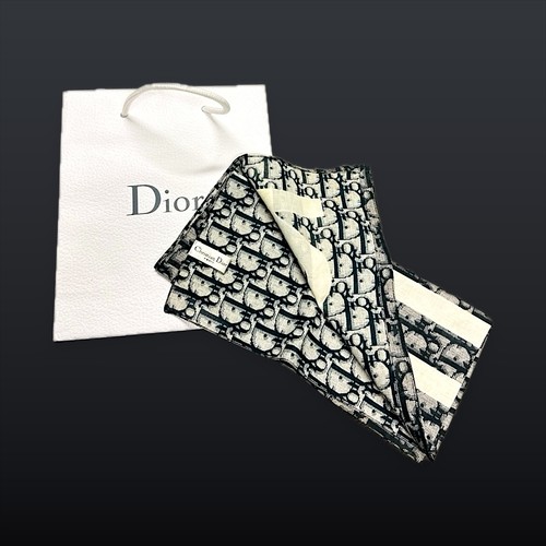 Christian dior panno - dior,